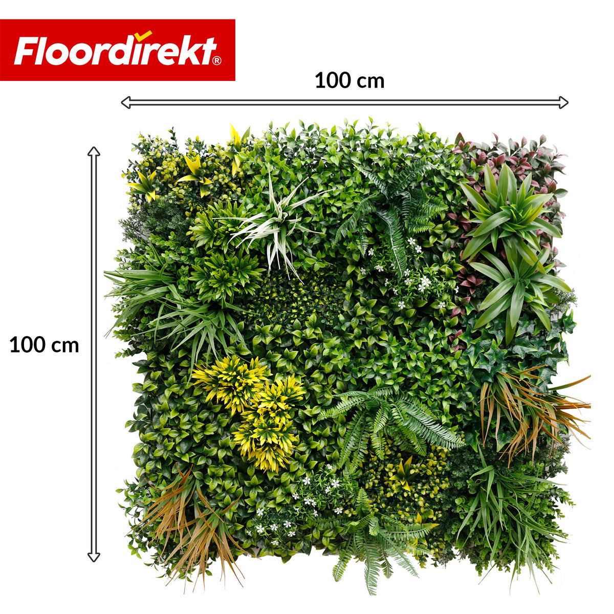 Pflanzenwand | Spring Garden | Natürliches, pflegefreies Grün-Panel | Sonnenbeständig & erweiterbar mit Klick-System | 100 × 100 cm