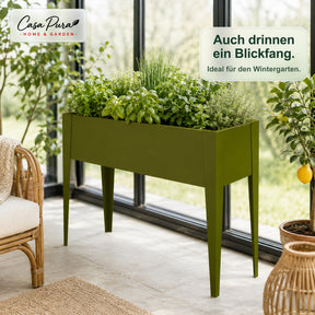 T2_Grün