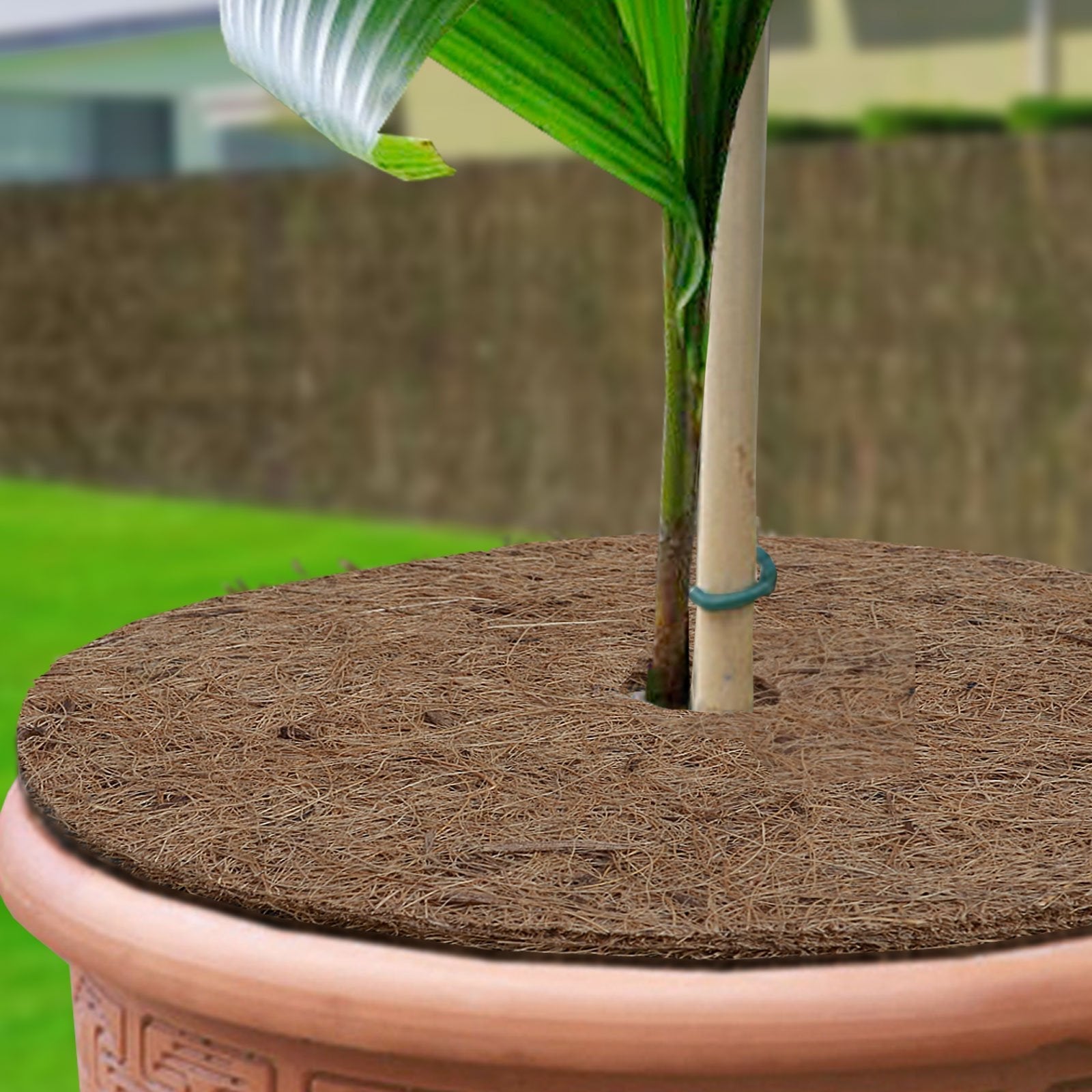 Kokosscheibe Mulchscheibe 800g/m2 Winterschutzmatte Pflanzenschutz