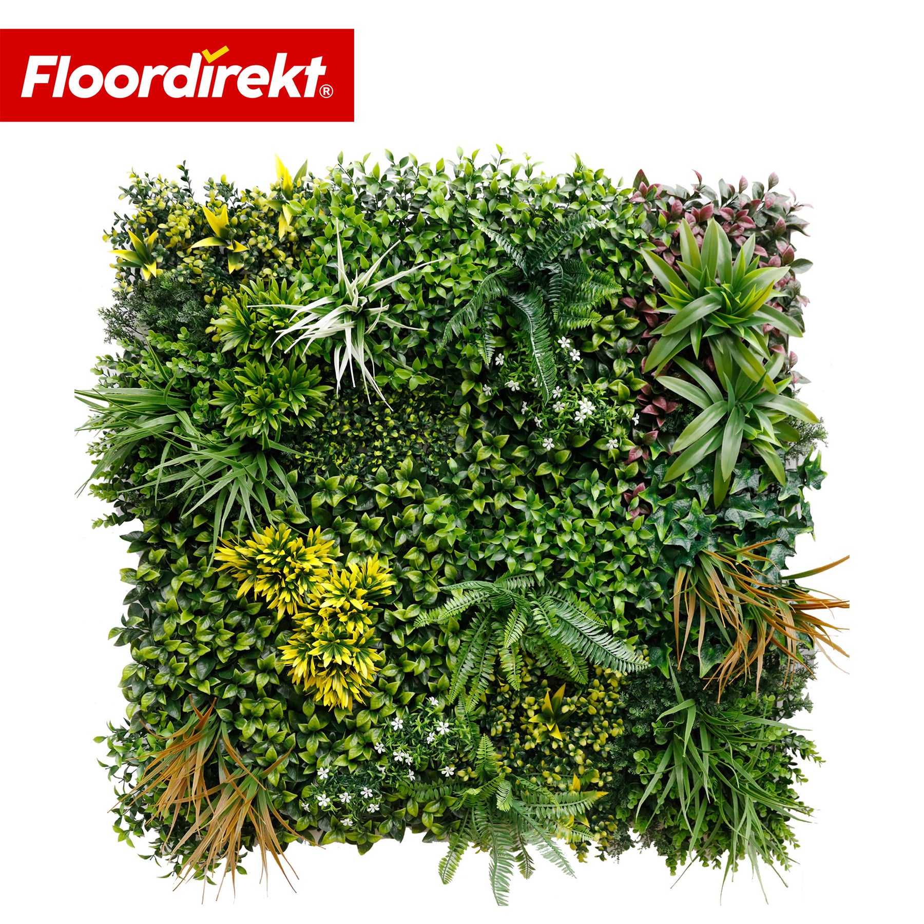 Pflanzenwand | Spring Garden | Natürliches, pflegefreies Grün-Panel | Sonnenbeständig & erweiterbar mit Klick-System | 100 × 100 cm