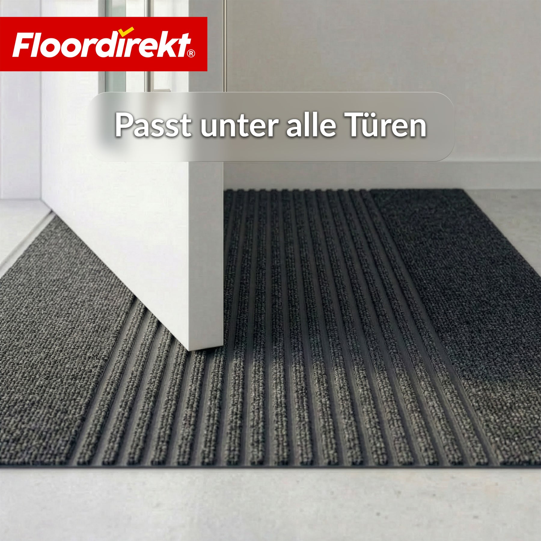 Schmutzfangmatte | Circa | Waschbare Türmatte für Innen & Außen | Rutschfeste Fußmatte mit TPE-Rückseite