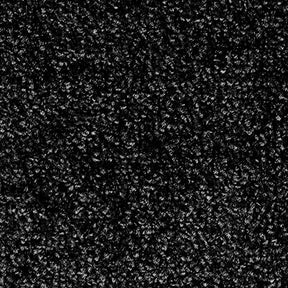 F2_Schwarz | Schwarz